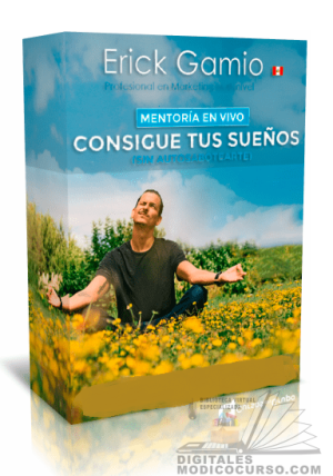 Mentoría Consigue Tus Sueños – Erick Gamio